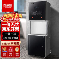 喜莱盛商用直饮机大型开水器五级RO反渗透过滤净水器 公司学校饮水机烧水器XLS-3KTQ
