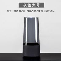 花瓶玻璃透明鲜花干花插花花器美式水培富贵竹银柳瓶插客厅小摆件 三维工匠 小号