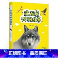[正版]沈石溪动物故事 沈石溪 送给孩子的动物故事 精美手绘插图 儿童文学 课外阅读 出品