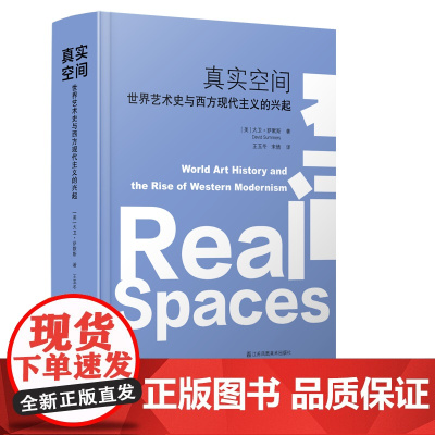 真实空间:世界艺术史与西方现代主义的兴起 艺术理论 世界艺术史 [美]大卫·萨默斯 著 视知觉艺术研究