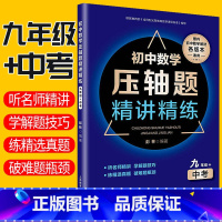 [正版]初中数学压轴题精讲精练 九年级+中考数学书同步突破训练练习题 初三中考真题数学知识大全题库解题技巧冲刺全面提升