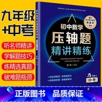 [正版]初中数学压轴题精讲精练 九年级+中考数学书同步突破训练练习题 初三中考真题数学知识大全题库解题技巧冲刺全面提升