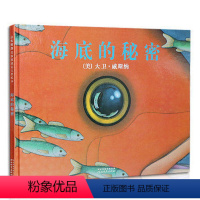 启发精选美国凯迪克大奖绘本--海底的秘密 [正版]凯迪克大奖-专家导读海底的秘密 精装少儿童科普绘本3-6-8岁海底的大