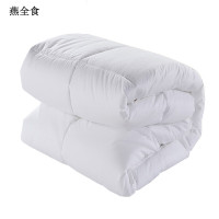 燕全食 空调被 定制尺寸200*230cm/条