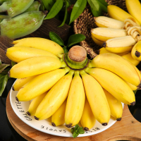 [西沛生鲜]新鲜苹果蕉香蕉 净重5斤 箱装 新鲜当季水果 香甜软糯 孕妇宝宝辅食