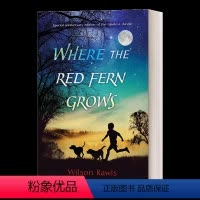 红色羊齿草的故乡周年纪念收藏版 [正版]绿野仙踪 英文原版小说 The Wonderful Wizard of Oz 童