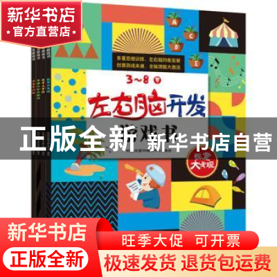 正版 3-8岁左右脑开发游戏书(共4册) 时间岛图书研发中心 北京时