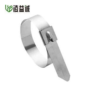 凌益诚 不锈钢扎带 7.9*750mm 100支 包