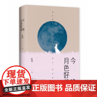 今晚月色好美 秋微著湖南文艺都市爱情温暖与感伤青春现当代文学小说随笔书