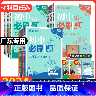 [广东专用人教版]物理 九年级上 [正版]广东2024版初中七.八.九年级上册下册全套人教版北师数学沪粤物理语文沪牛英语