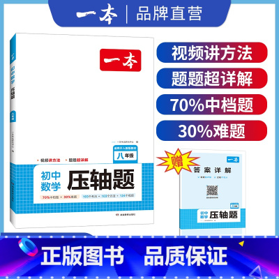 压轴题 八年级/初中二年级 [正版]八年级数学压轴题2024初中数学有理数方程初二数学必刷题8年级上下册通用数学专题训练