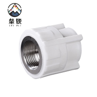 垒锐PPR内牙直接 4分 个