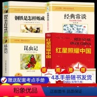 8年级上+下全4册(送4本考点手册) [正版]朝花夕拾七年级必读书上册人教版初中必读名著十二本完整版无删减下册西游记红星
