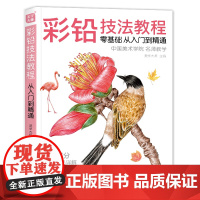 美学大师 彩铅技法教程 入门自学零基础临摹本教材书籍 手绘花卉花鸟动物多肉风景人物绘画画册集彩色铅笔美术艺术正版图书SH