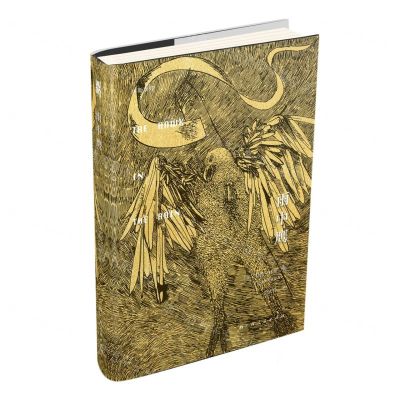 [N]雨中鹰(精)/休斯系列-9787219114346