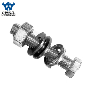 立伟铁牛不锈钢螺栓(含1母1弹垫2平垫)M8*40 条