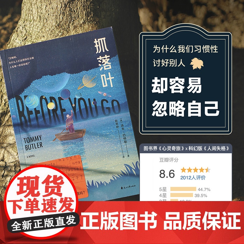 [小嘉 ]抓落叶 2024版 汤米.巴特勒著 心理治愈我们都是生命的旅人抵达终点就是人生的意义 思考人生的意义外国小说书