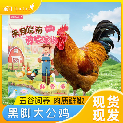 雀淘 皖南草公鸡3.5-4斤/只 2只装 农家慢养走地鸡新鲜