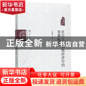 正版 社会主义市场经济中的资源配置:王善迈文集 王善迈 经济科