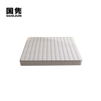 国隽GUOJUN棕榈床垫2000*1200*100mm张