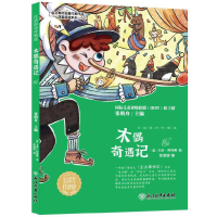 音像任溶溶译作精选木偶奇遇记卡洛·科洛迪著任溶溶译