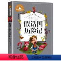 假话国历险记 [正版]彩图注音 王尔德童话 世界名著儿童文学小说故事书6-7-8-9-10-12周岁小学生阅读书籍一二三
