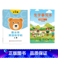 五上英语衡水体+五上语文生字 [正版]五年级衡水体英语字帖上册下册人教版同步练字帖英文字母单字练字本小学生字体练习簿硬笔