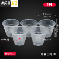 三维工匠蝴蝶兰控根花盆透气明塑料胶树脂陶瓷洋兰石斛专用盆 [5只]口径15cm[带空气柱] 中等花盆容器