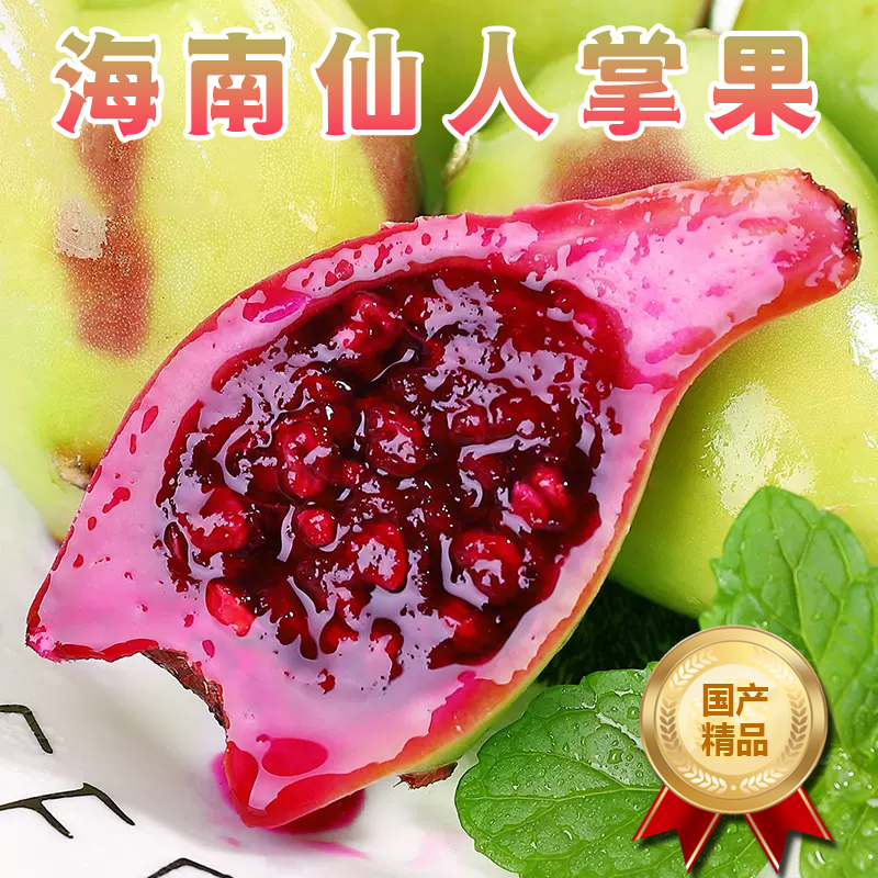 [熊猫鸟]海南新鲜仙人掌果 5斤装 新鲜应季稀奇古怪罕见热带水果 仙人果