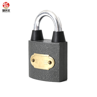 楚庆优 通用锁挂锁通开锁 20mm 把