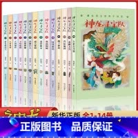 [全套14册]神龙寻宝队1-14册 [正版]神龙寻宝队全套14册大秦兵马俑商鞅方升曾侯编钟谷清平著藏在国宝里的中国历史儿