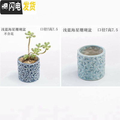 三维工匠创意个性中大小号口径北欧风蓝色家用可爱多肉花盆陶瓷器 海星珊瑚盆2个 中等花盆容器
