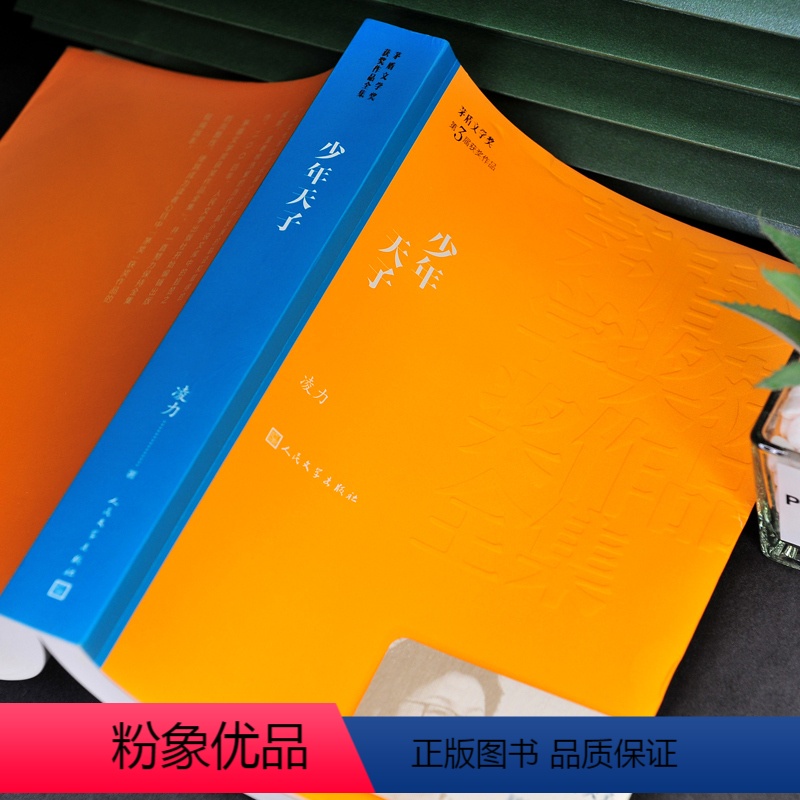 [正版]少年天子 茅盾文学奖作品凌力经典好书现当代文学世界名著小说书青少年版初高中寒暑假阅读书目书籍人民文学出版