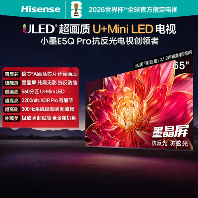 海信电视小墨 65E5Q Pro 65英寸 560分区U+MiniLED 信芯芯片 抗反光防眩光墨晶屏 300Hz