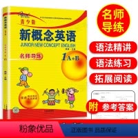 [正版]子金传媒新概念英语青少版1A1B名师导练新概念英语青少版1ab习题大全课课语法精讲精练拓展阅读新概念英语阅读理