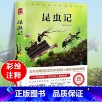 昆虫记 [正版]爱丽丝漫游奇境记书 爱丽丝梦游仙境书六年级下册必读书目 小学生课外书奇镜彩绘原版原著阅读书籍五年级老师天