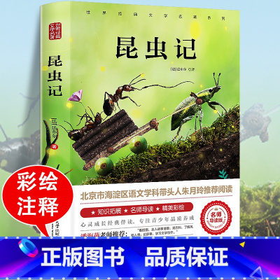 昆虫记 [正版]爱丽丝漫游奇境记书 爱丽丝梦游仙境书六年级下册必读书目 小学生课外书奇镜彩绘原版原著阅读书籍五年级老师天