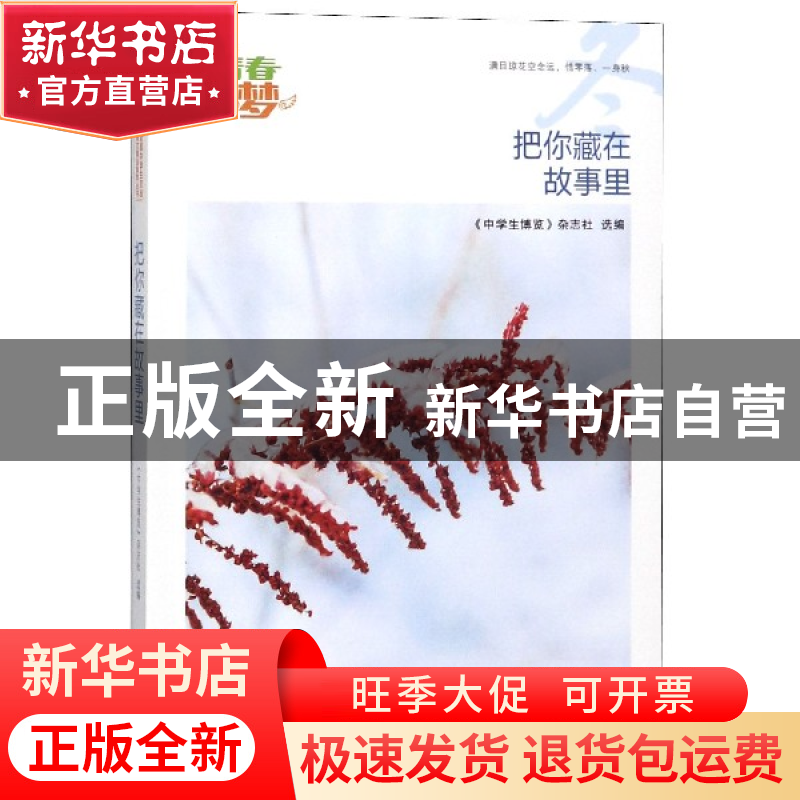 正版 把你藏在故事里/我的青春我的梦全国中学生校园美文精品集萃
