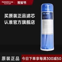 汉斯顿/Hunson 净水器净水伴侣后置 口感因子滤芯