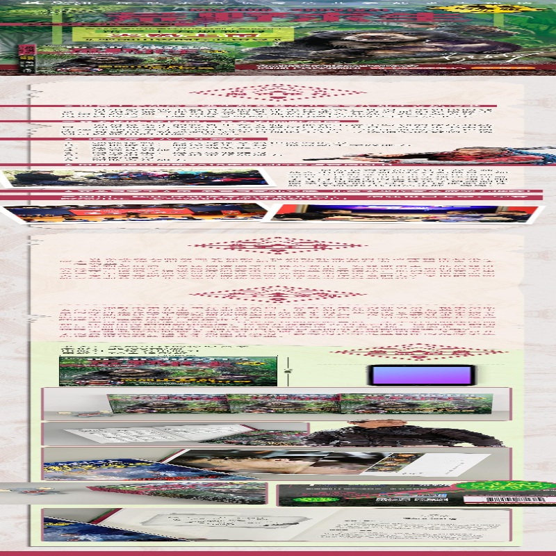 [M]荒野求生少年生存小说系列(拓展版)25:黑熊山谷的惊心雷暴-9787544871389