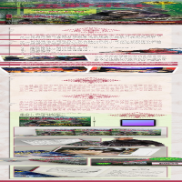 [M]荒野求生少年生存小说系列(拓展版)25:黑熊山谷的惊心雷暴-9787544871389