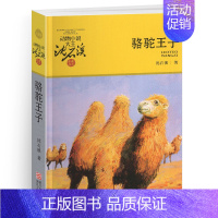 骆驼王子 [正版]野犬女皇沈石溪小学四年级五年级全集全套书浙江少年儿童出版社非注音版完整版动物小说大王品藏书系小学生课外