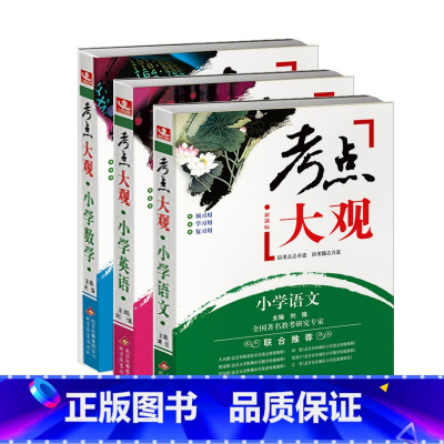 [正版]《考点大观》小学(套装共3册)(小学英语,语文,数学)
