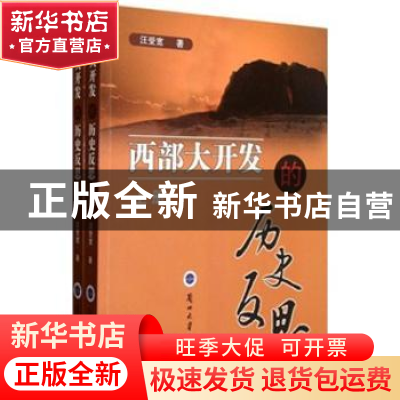 正版 西部大开发的历史反思 汪受宽著 兰州大学出版社 9787311031