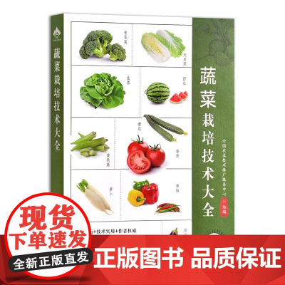 蔬菜栽培技术大全 全国农业技术推广服务中心 编 中国农业出版社9787109304062
