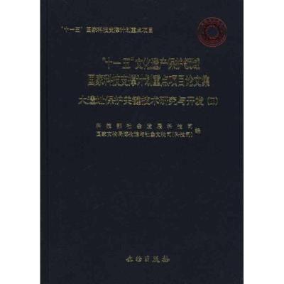 正版新书]大遗址保护关键技术研究与开发(Ⅱ)科技部社会发展科