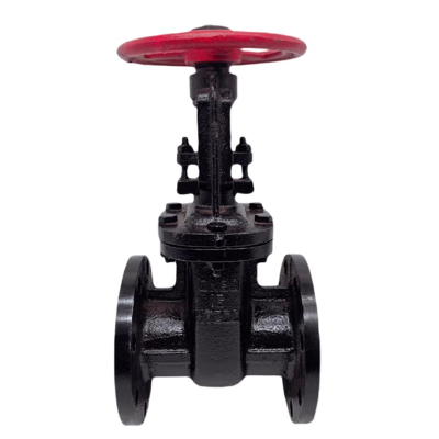 冰城同祥 铸铁闸阀 Z41T-16 DN150 台