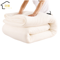 财巢 新疆棉花被 120*200cm 4斤 床(120*200cm 4斤)