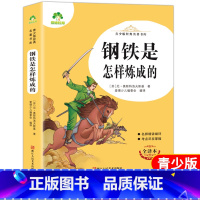 [正版]爱德教育 青少版经典名著书库 钢铁是怎样炼成的 全译本小学生青少年版课外阅读书三四五六年级精讲细评考点尽在