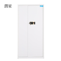 渭星钢制密码文件柜保险柜铁皮资料柜通门白色指纹锁420*900*1850